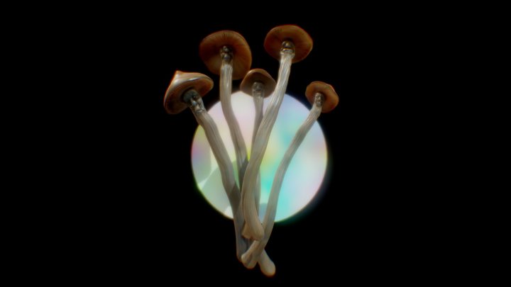 Mushroom Council By CMW 3D Model