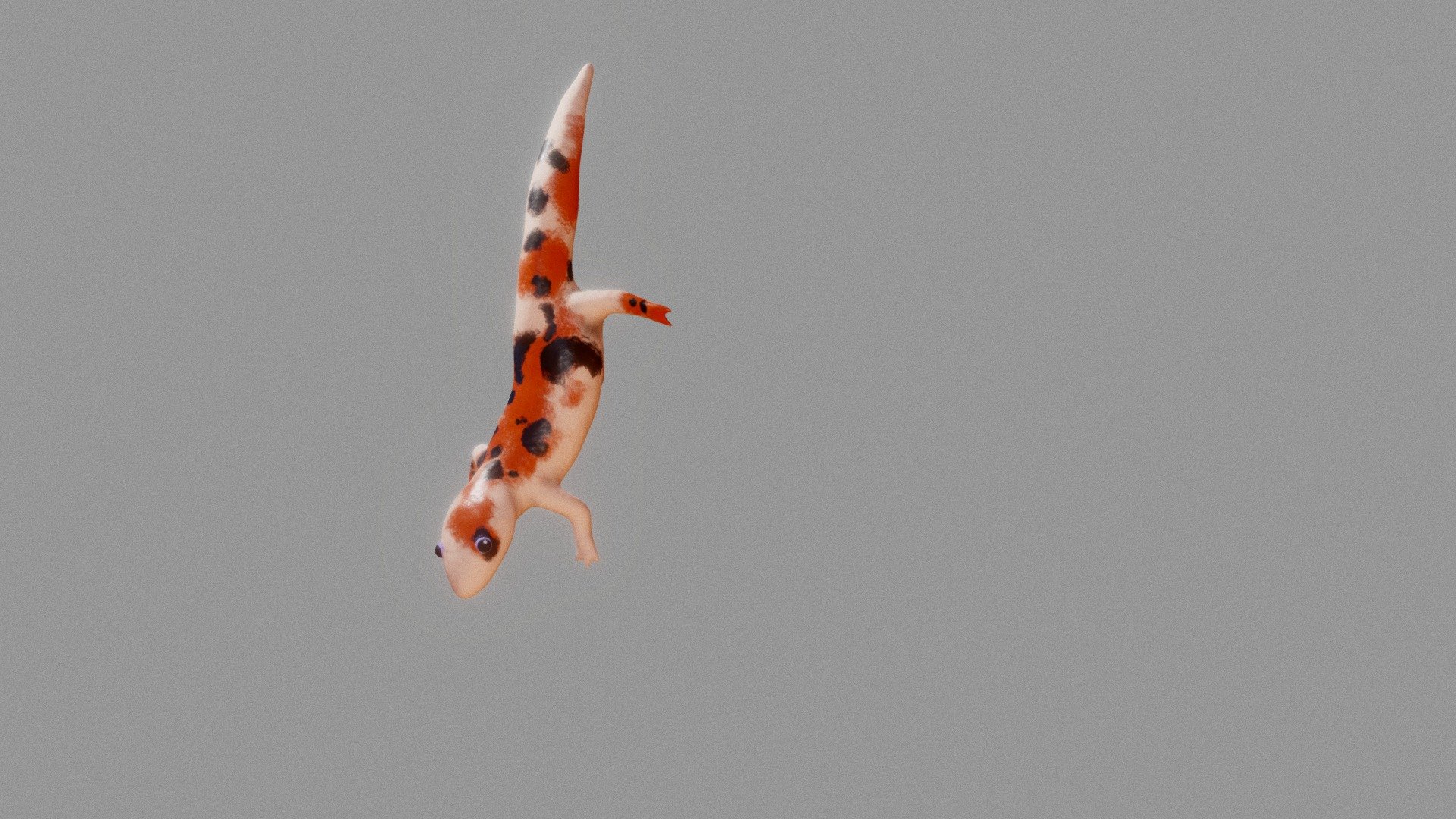 salamander