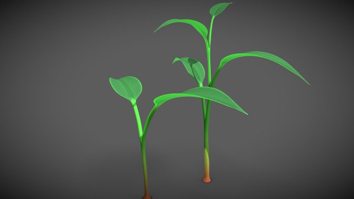 Plant 3D Model