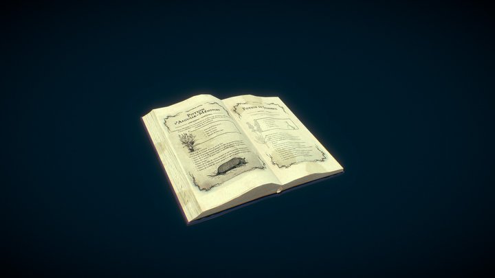 Alchemy book 3D Model