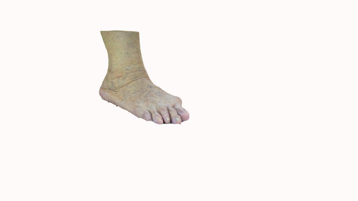 Footcare_04 (Right) 3D Model