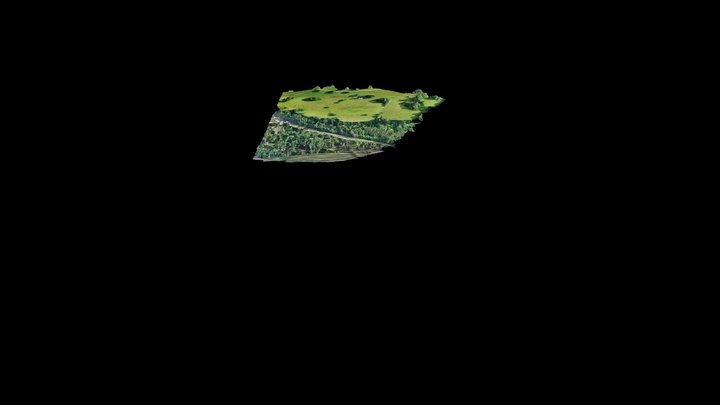 Jack Big Map_simplified_3d_mesh 3D Model