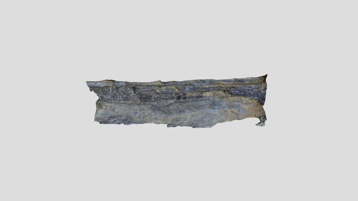 Rock Wall Test 3D Model