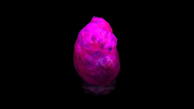 Type_3 (Egg) 3D Model