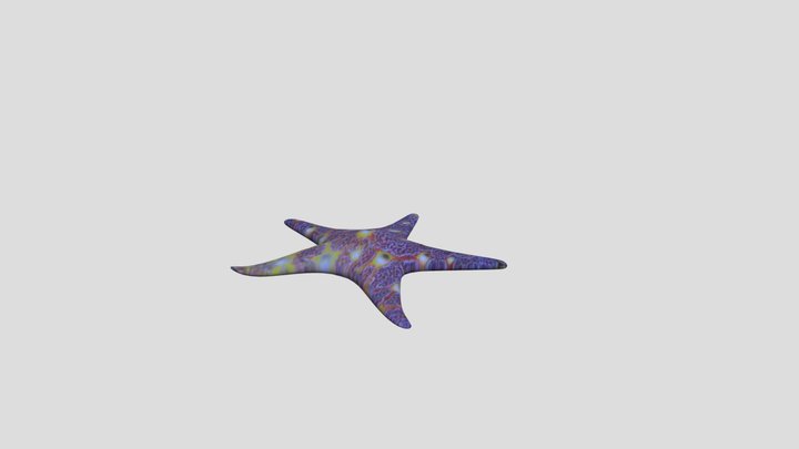 Blue Starfish 3D Model