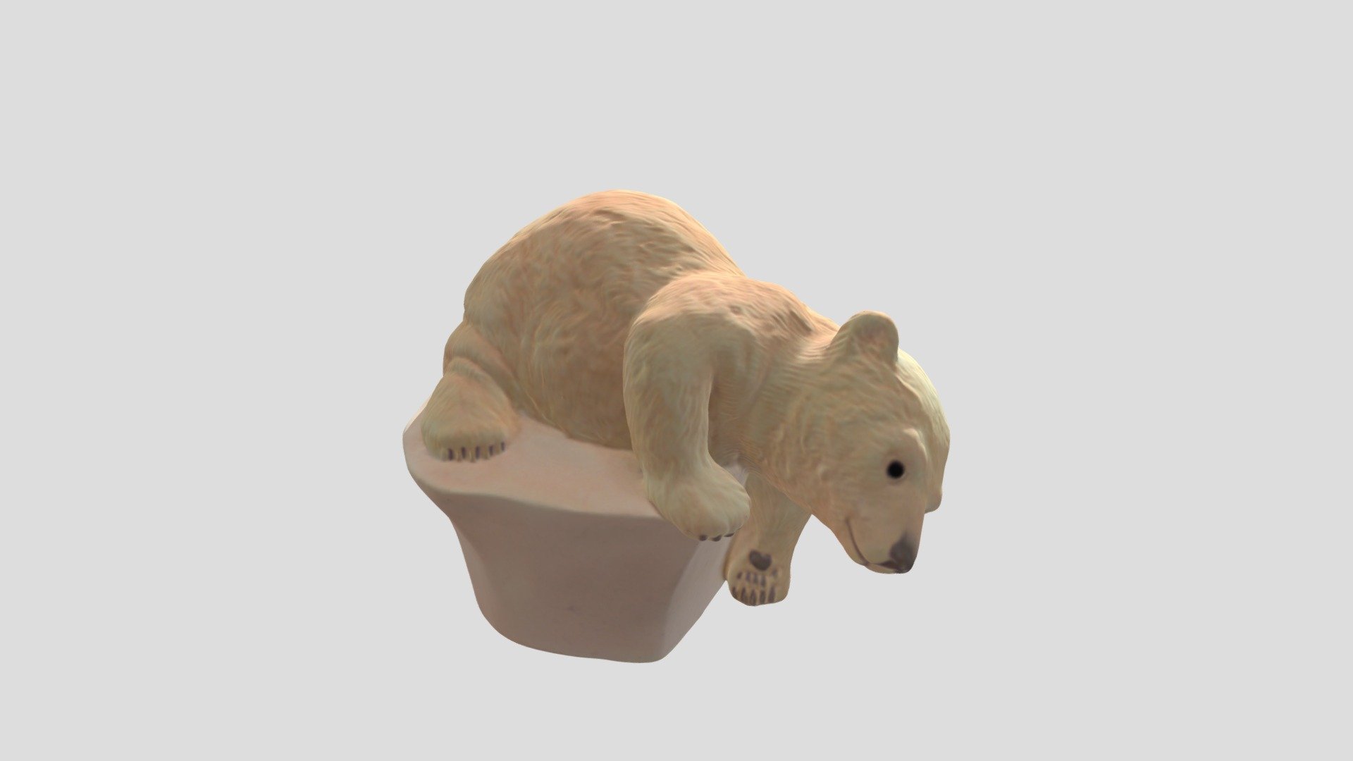Polar Bear