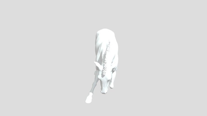 Graceful Bow 3D Model