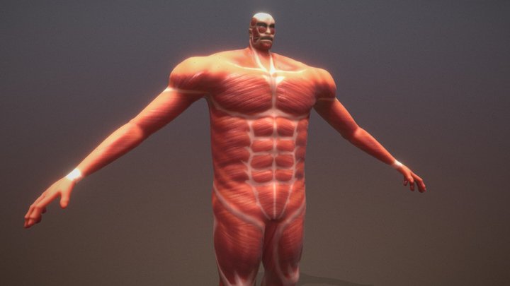 Colossal Titan 3D Model