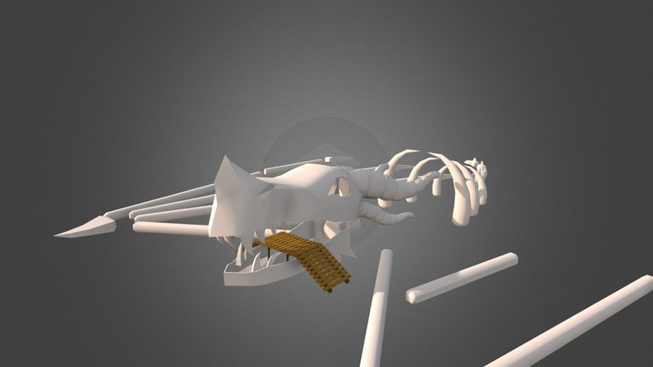 Dragon Skeleton 3D Model