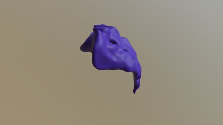 Female Sacrum 3D Model