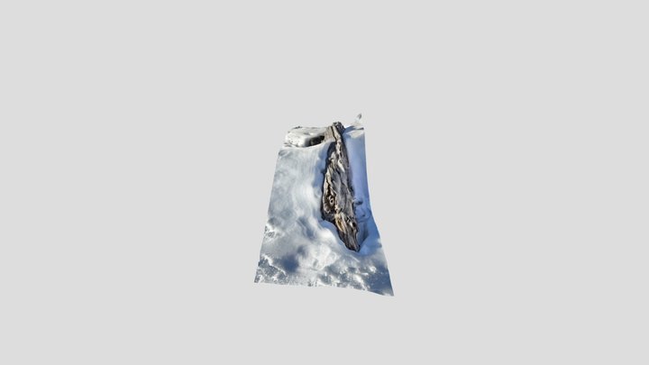 Tronco Blanco Chico 3D Model