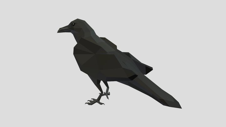 Raven | Honesty | Gwekwaadziwin 3D Model