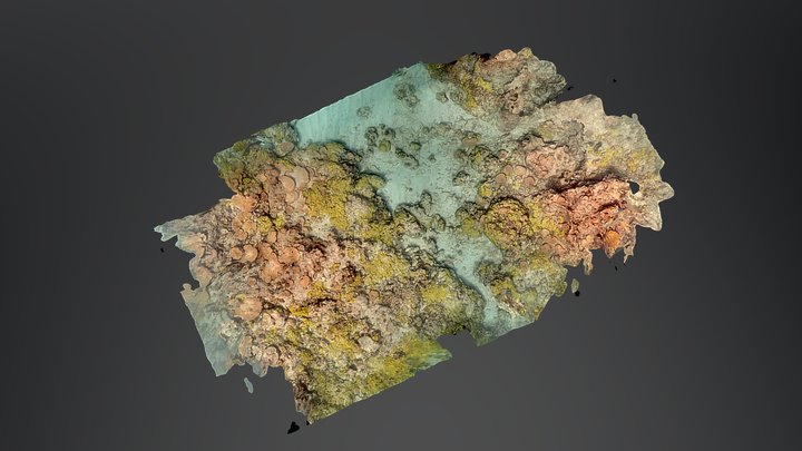 French Frigate Shoals: Site 30 Transect 2 3D Model