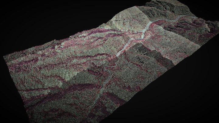 Infrared point cloud – Kostenloses 3D-Modell STL