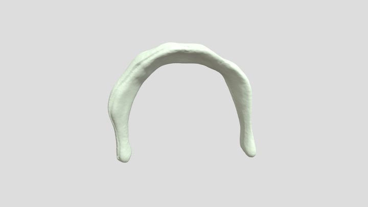 Bone041EXT 3D Model