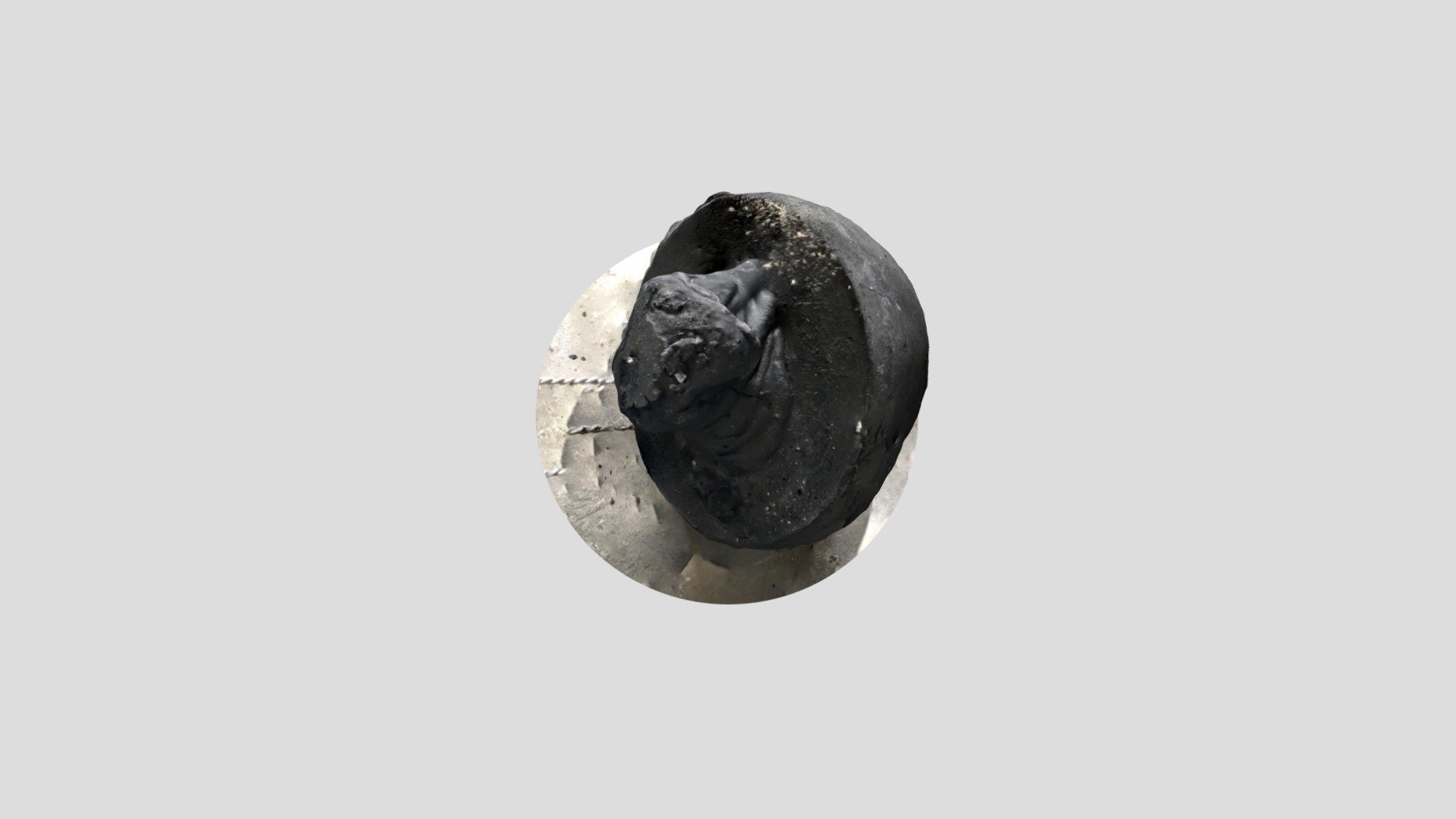 A TRNIO Model