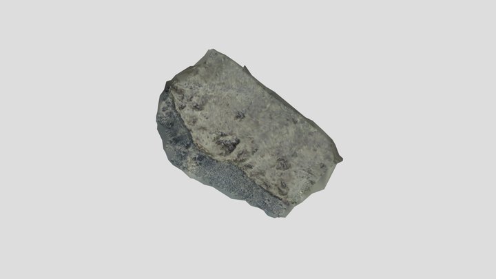 BBroad2 3D Model