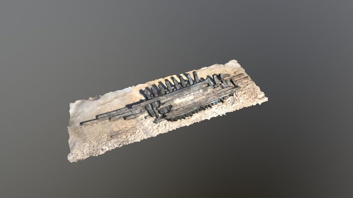 Spring Break Wreck, Day 1 3D Model
