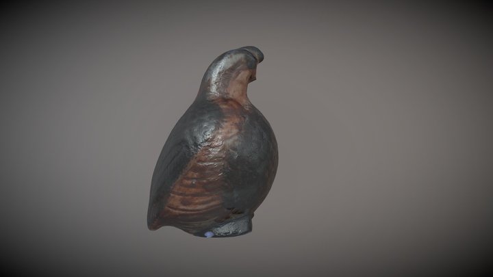 Quail_Birds Project 3D Model