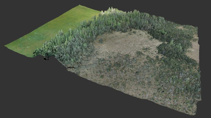 Wiese, Wald und Moor, Karpfsee 3D Model