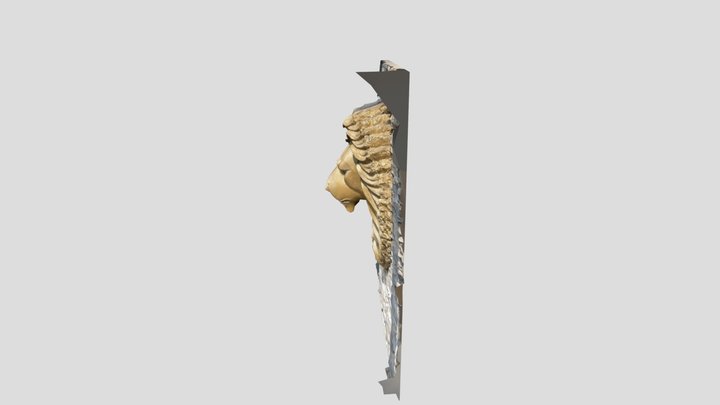 Lion003 3D Model