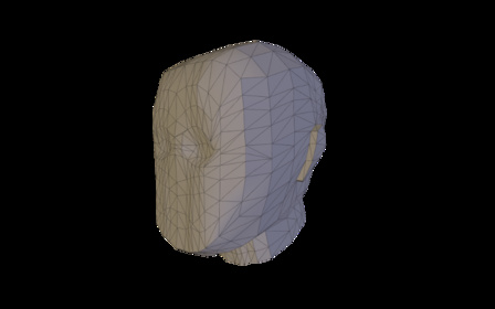 headCOMP 3D Model