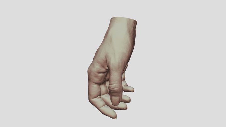 Hand D 3D Model