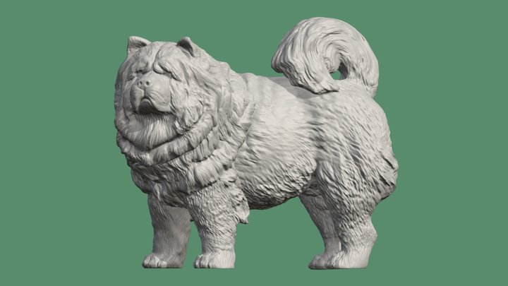 Uploads_files_2709157_chow-chow 3D Model