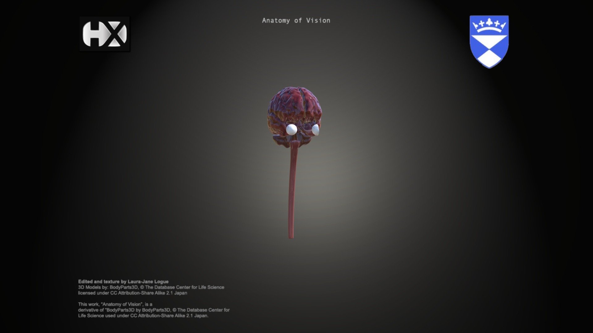 Anatomy of Vision Part 1