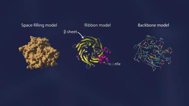 RBBP7 3D Model