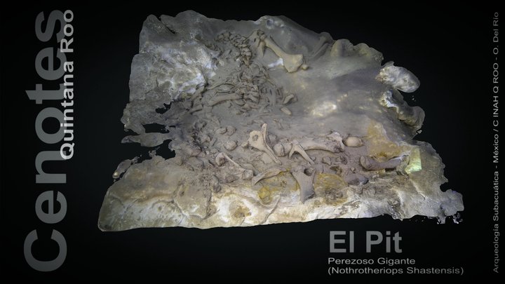 Perezoso Gigante, El Pit 3D Model