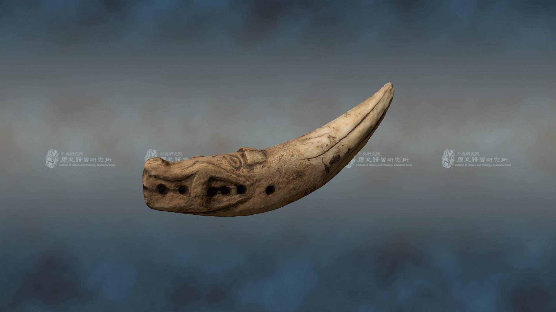Engraved Ornament probably made of from a tooth — Sketchfab embed 3D viewer