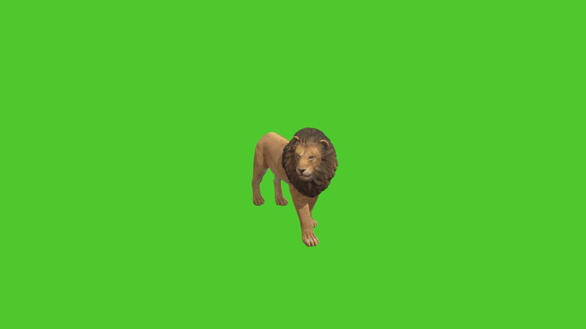 Лев - Download Free 3D model by helgmaz [794d61c] - Sketchfab