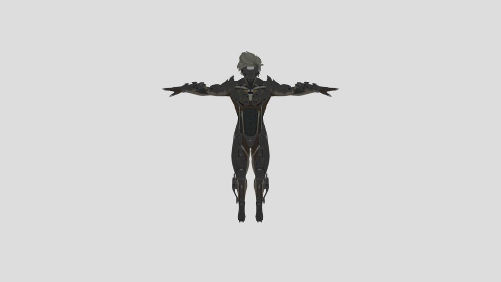 Raiden - Metal Gear Rising : Revengeance
