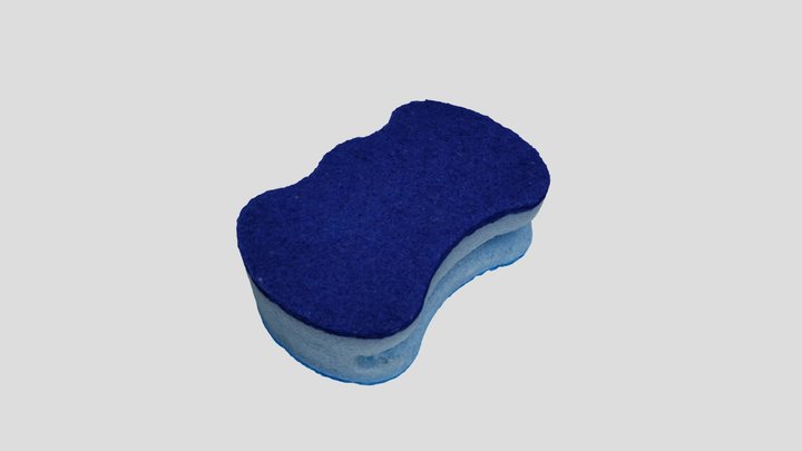 Sponge 3D Model