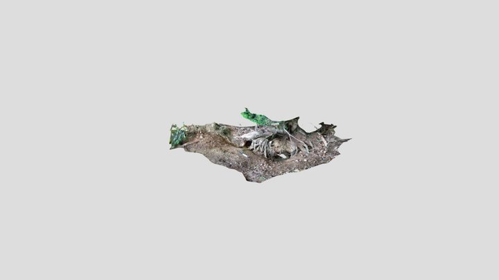 Upper Basildon Fox or Badger sett Kiri – Modello 3D gratuito STL
