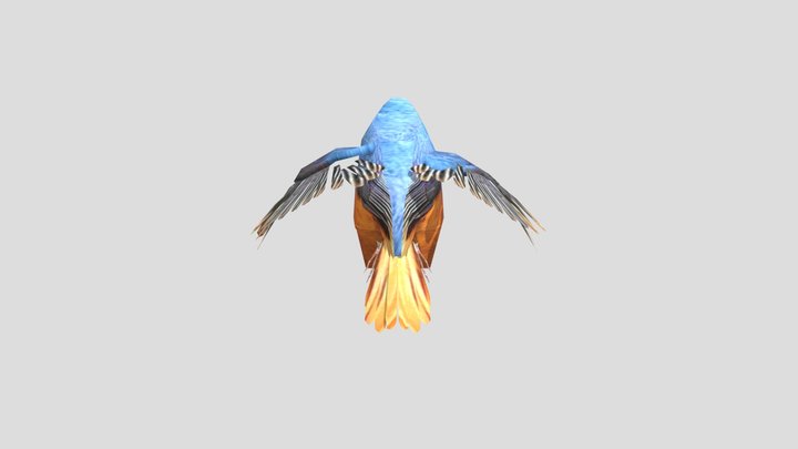 Redstart 3D Model