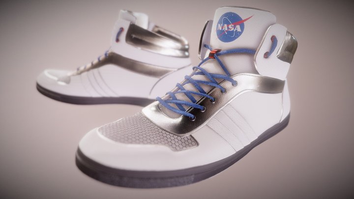 Nasa Shoes 3D Model