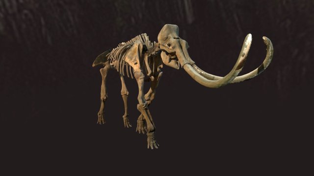 Columbian Mammoth - Archie 3D Model