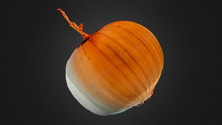 Onion - Cross Polarisation Scan – Free 3D Model STL