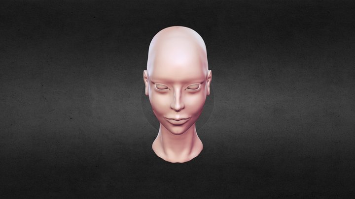 Female Head Sculpt Practice 3D Model