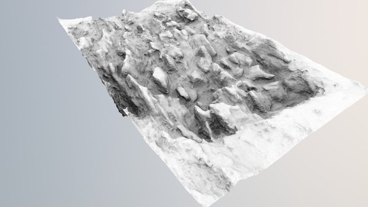 Sonda "sulica" 3D tekstura 3D Model