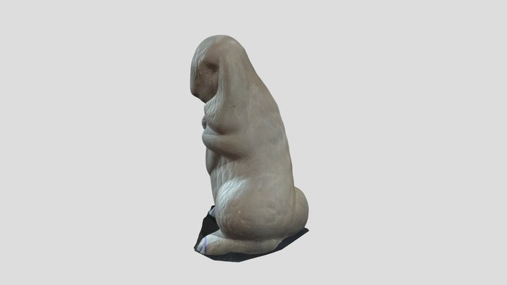 CONEJO 3D Model