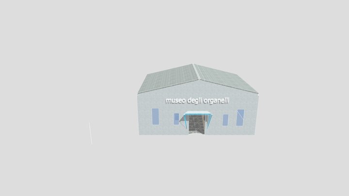 Museo organelli frattini 3D Model
