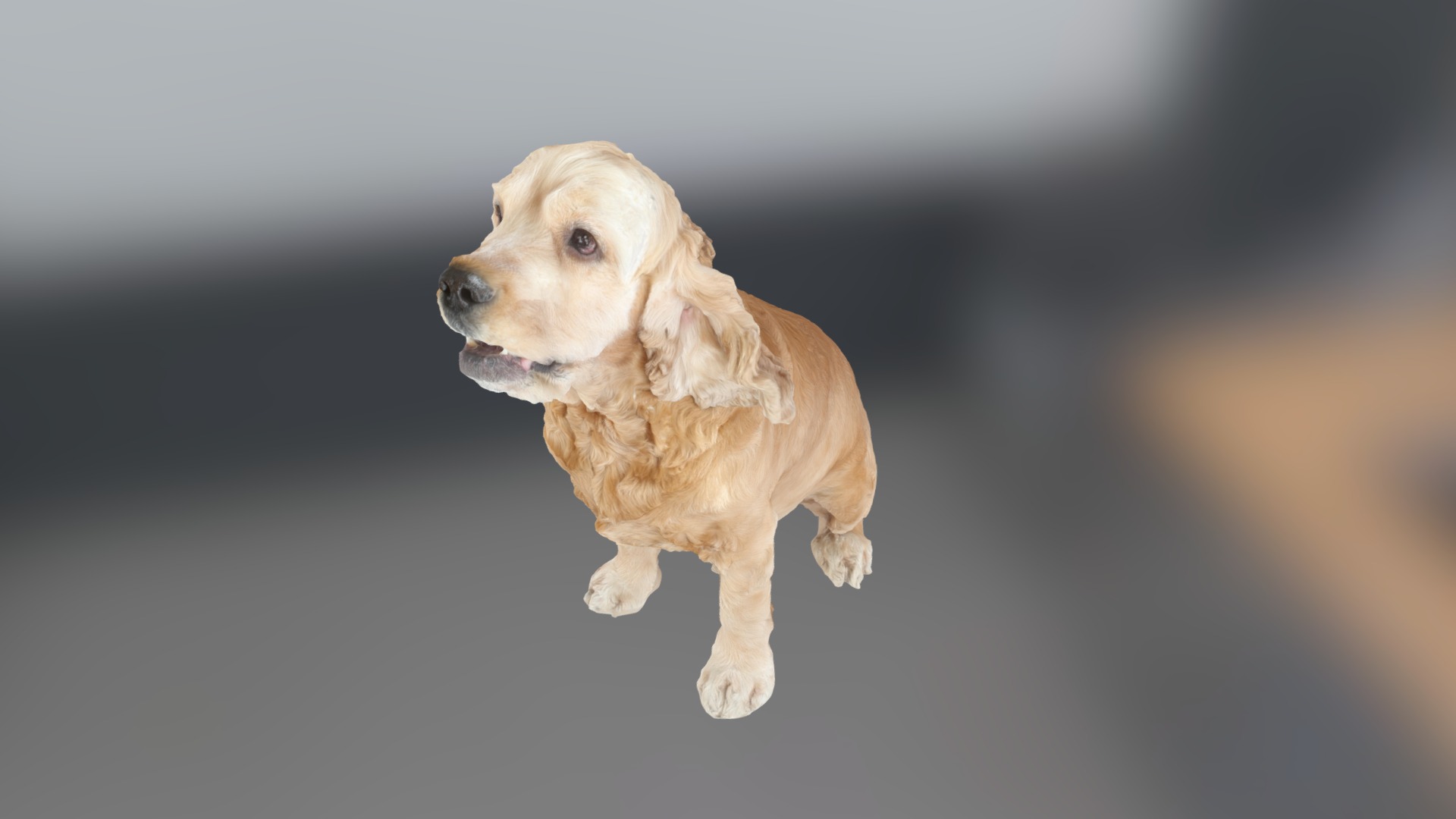 3D model WOOF - This is a 3D model of the WOOF. The 3D model is about a dog running on a road.