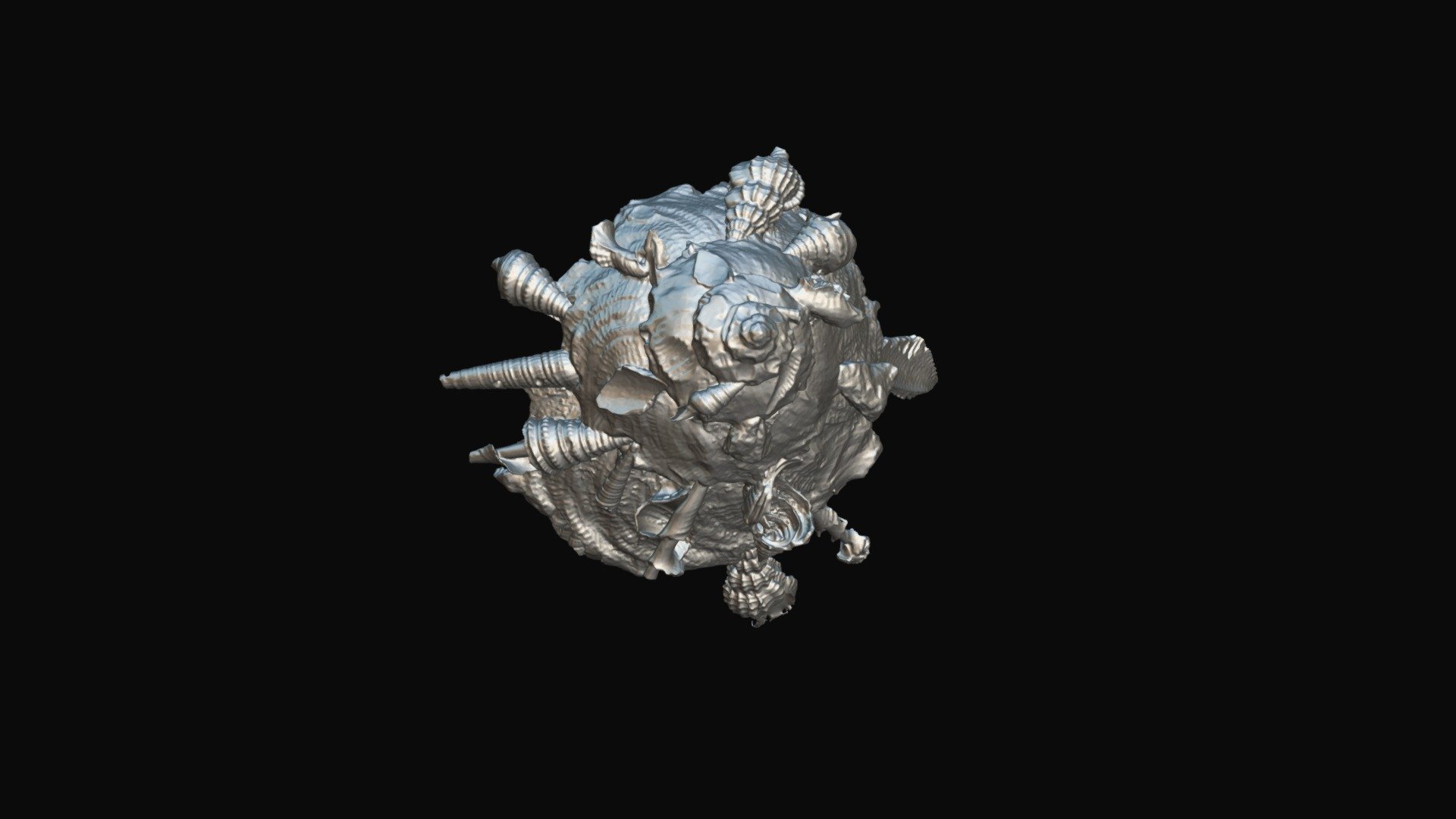 Filippine-shell2