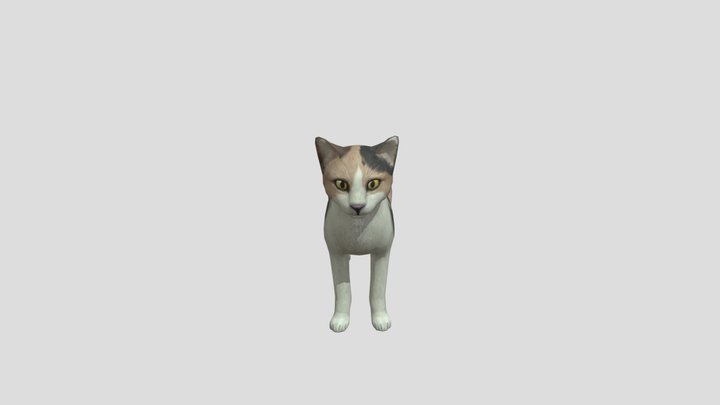 Cat Garrys Mod 3D Model