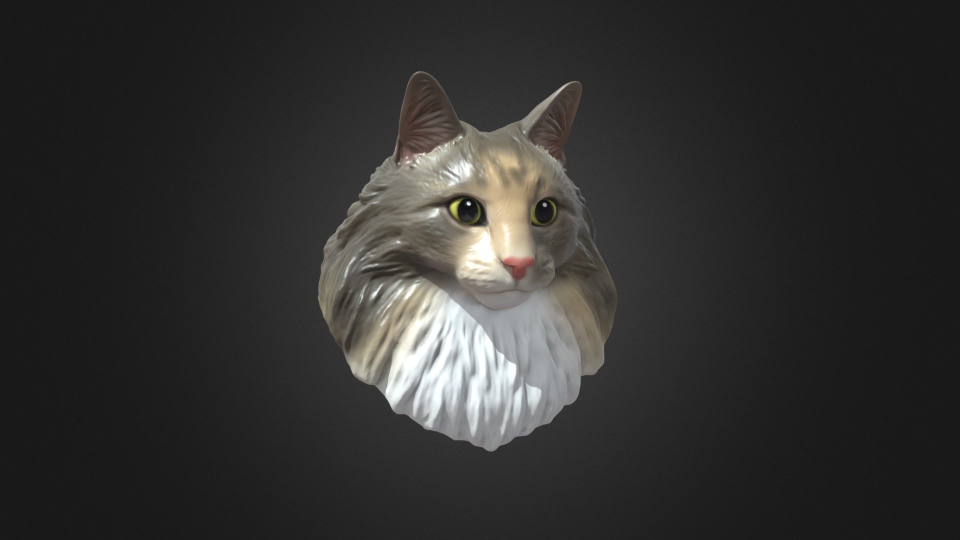 Ms Leung Cat model