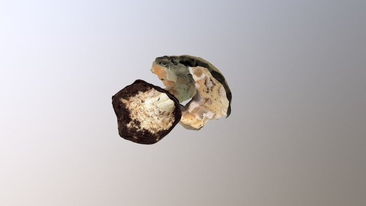 mushroom #4 3D Model