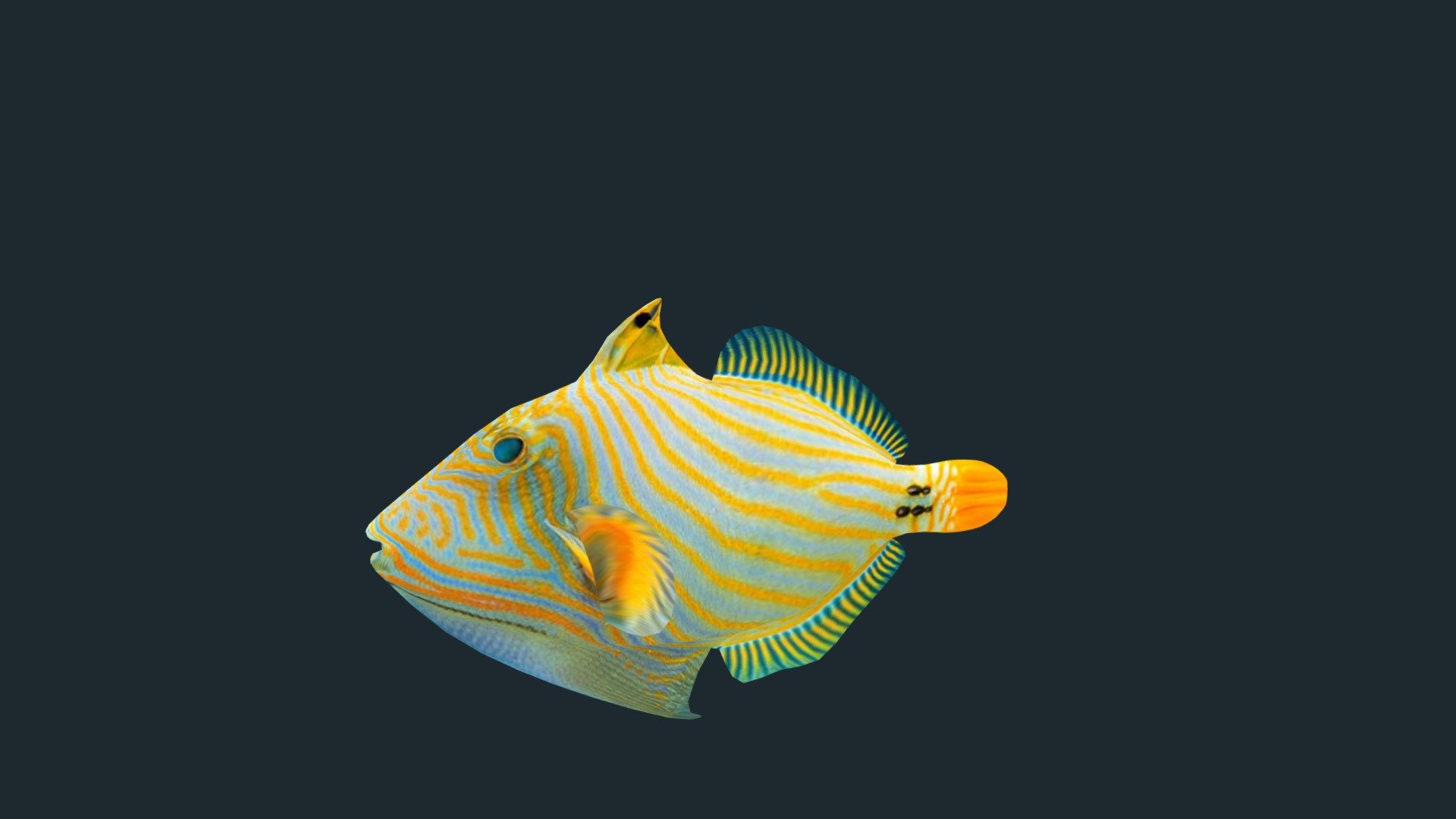 The triggerfish